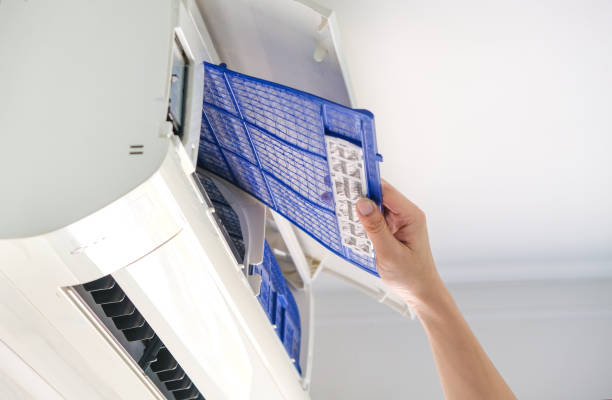 Best Professional Duct Cleaning Services  in Amherst, TX